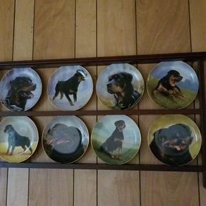 Collector Plates
